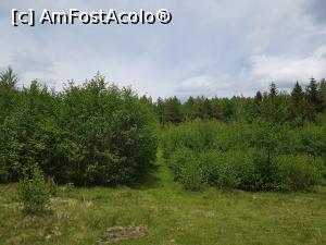[P12] Prin lăstărișul din zona lacului colmatat. Moș Martin o locui pe aici oare?! Nu ar fi de mirare! » foto by Floryn81
 - 
<span class="allrVoted glyphicon glyphicon-heart hidden" id="av1169611"></span>
<a class="m-l-10 hidden" id="sv1169611" onclick="voting_Foto_DelVot(,1169611,5439)" role="button">șterge vot <span class="glyphicon glyphicon-remove"></span></a>
<a id="v91169611" class=" c-red"  onclick="voting_Foto_SetVot(1169611)" role="button"><span class="glyphicon glyphicon-heart-empty"></span> <b>LIKE</b> = Votează poza</a> <img class="hidden"  id="f1169611W9" src="/imagini/loader.gif" border="0" /><span class="AjErrMes hidden" id="e1169611ErM"></span>