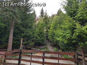 [P21] Cabana ”Lacul Limpede” de la Bisoca este ascunsă după brazii din curte. » foto by Floryn81
 - 
<span class="allrVoted glyphicon glyphicon-heart hidden" id="av1169620"></span>
<a class="m-l-10 hidden" id="sv1169620" onclick="voting_Foto_DelVot(,1169620,5439)" role="button">șterge vot <span class="glyphicon glyphicon-remove"></span></a>
<a id="v91169620" class=" c-red"  onclick="voting_Foto_SetVot(1169620)" role="button"><span class="glyphicon glyphicon-heart-empty"></span> <b>LIKE</b> = Votează poza</a> <img class="hidden"  id="f1169620W9" src="/imagini/loader.gif" border="0" /><span class="AjErrMes hidden" id="e1169620ErM"></span>