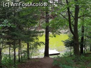 [P08] Din nou mergem spre lac, de data aceasta la final de primăvară. » foto by Floryn81
 - 
<span class="allrVoted glyphicon glyphicon-heart hidden" id="av1169598"></span>
<a class="m-l-10 hidden" id="sv1169598" onclick="voting_Foto_DelVot(,1169598,5439)" role="button">șterge vot <span class="glyphicon glyphicon-remove"></span></a>
<a id="v91169598" class=" c-red"  onclick="voting_Foto_SetVot(1169598)" role="button"><span class="glyphicon glyphicon-heart-empty"></span> <b>LIKE</b> = Votează poza</a> <img class="hidden"  id="f1169598W9" src="/imagini/loader.gif" border="0" /><span class="AjErrMes hidden" id="e1169598ErM"></span>