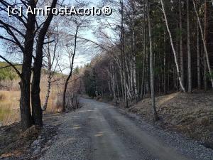 [P07] Așa arăta drumul forestier de pe malul lacului Mocearu la începutul lunii martie 2020. » foto by Floryn81
 - 
<span class="allrVoted glyphicon glyphicon-heart hidden" id="av1170080"></span>
<a class="m-l-10 hidden" id="sv1170080" onclick="voting_Foto_DelVot(,1170080,5439)" role="button">șterge vot <span class="glyphicon glyphicon-remove"></span></a>
<a id="v91170080" class=" c-red"  onclick="voting_Foto_SetVot(1170080)" role="button"><span class="glyphicon glyphicon-heart-empty"></span> <b>LIKE</b> = Votează poza</a> <img class="hidden"  id="f1170080W9" src="/imagini/loader.gif" border="0" /><span class="AjErrMes hidden" id="e1170080ErM"></span>
