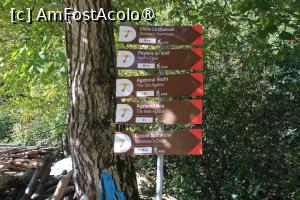 [P02] Satul Nucu, Mica Parcare, Indicatoare spre Schituri Rupestre Bozioru » foto by mprofeanu
 - 
<span class="allrVoted glyphicon glyphicon-heart hidden" id="av1409651"></span>
<a class="m-l-10 hidden" id="sv1409651" onclick="voting_Foto_DelVot(,1409651,5439)" role="button">șterge vot <span class="glyphicon glyphicon-remove"></span></a>
<a id="v91409651" class=" c-red"  onclick="voting_Foto_SetVot(1409651)" role="button"><span class="glyphicon glyphicon-heart-empty"></span> <b>LIKE</b> = Votează poza</a> <img class="hidden"  id="f1409651W9" src="/imagini/loader.gif" border="0" /><span class="AjErrMes hidden" id="e1409651ErM"></span>