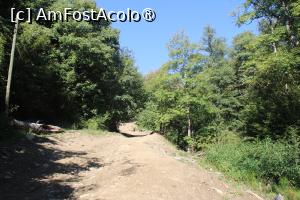 [P03] Drumul Forestier spre Schiturile Rupestre Bozioru » foto by mprofeanu
 - 
<span class="allrVoted glyphicon glyphicon-heart hidden" id="av1409652"></span>
<a class="m-l-10 hidden" id="sv1409652" onclick="voting_Foto_DelVot(,1409652,5439)" role="button">șterge vot <span class="glyphicon glyphicon-remove"></span></a>
<a id="v91409652" class=" c-red"  onclick="voting_Foto_SetVot(1409652)" role="button"><span class="glyphicon glyphicon-heart-empty"></span> <b>LIKE</b> = Votează poza</a> <img class="hidden"  id="f1409652W9" src="/imagini/loader.gif" border="0" /><span class="AjErrMes hidden" id="e1409652ErM"></span>