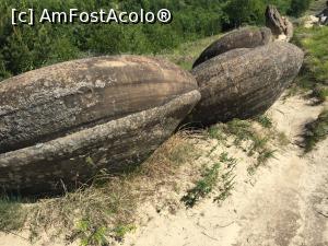 [P22] trovantii sau babele de la ulmet - oznuri parcate regulamentar » foto by Dan&Ema
 - 
<span class="allrVoted glyphicon glyphicon-heart hidden" id="av866199"></span>
<a class="m-l-10 hidden" id="sv866199" onclick="voting_Foto_DelVot(,866199,5439)" role="button">șterge vot <span class="glyphicon glyphicon-remove"></span></a>
<a id="v9866199" class=" c-red"  onclick="voting_Foto_SetVot(866199)" role="button"><span class="glyphicon glyphicon-heart-empty"></span> <b>LIKE</b> = Votează poza</a> <img class="hidden"  id="f866199W9" src="/imagini/loader.gif" border="0" /><span class="AjErrMes hidden" id="e866199ErM"></span>