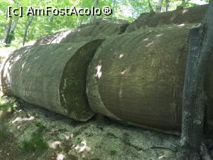 [P23] dar de cilindri acestia uriasi sectionati ce mai spuneti?  » foto by Dan&Ema
 - 
<span class="allrVoted glyphicon glyphicon-heart hidden" id="av866202"></span>
<a class="m-l-10 hidden" id="sv866202" onclick="voting_Foto_DelVot(,866202,5439)" role="button">șterge vot <span class="glyphicon glyphicon-remove"></span></a>
<a id="v9866202" class=" c-red"  onclick="voting_Foto_SetVot(866202)" role="button"><span class="glyphicon glyphicon-heart-empty"></span> <b>LIKE</b> = Votează poza</a> <img class="hidden"  id="f866202W9" src="/imagini/loader.gif" border="0" /><span class="AjErrMes hidden" id="e866202ErM"></span>