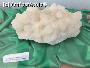 [P30] calcita expusa la muzeul chihlimbarului din Colti » foto by Dan&Ema
 - 
<span class="allrVoted glyphicon glyphicon-heart hidden" id="av866209"></span>
<a class="m-l-10 hidden" id="sv866209" onclick="voting_Foto_DelVot(,866209,5439)" role="button">șterge vot <span class="glyphicon glyphicon-remove"></span></a>
<a id="v9866209" class=" c-red"  onclick="voting_Foto_SetVot(866209)" role="button"><span class="glyphicon glyphicon-heart-empty"></span> <b>LIKE</b> = Votează poza</a> <img class="hidden"  id="f866209W9" src="/imagini/loader.gif" border="0" /><span class="AjErrMes hidden" id="e866209ErM"></span>