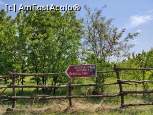 [P47] Dealul cu Lilieci » foto by crismis
 - 
<span class="allrVoted glyphicon glyphicon-heart hidden" id="av1386658"></span>
<a class="m-l-10 hidden" id="sv1386658" onclick="voting_Foto_DelVot(,1386658,5439)" role="button">șterge vot <span class="glyphicon glyphicon-remove"></span></a>
<a id="v91386658" class=" c-red"  onclick="voting_Foto_SetVot(1386658)" role="button"><span class="glyphicon glyphicon-heart-empty"></span> <b>LIKE</b> = Votează poza</a> <img class="hidden"  id="f1386658W9" src="/imagini/loader.gif" border="0" /><span class="AjErrMes hidden" id="e1386658ErM"></span>