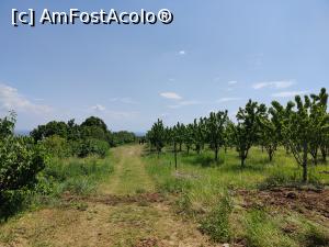 [P54] Dealul cu Lilieci; liliacul e pe stânga » foto by crismis
 - 
<span class="allrVoted glyphicon glyphicon-heart hidden" id="av1386665"></span>
<a class="m-l-10 hidden" id="sv1386665" onclick="voting_Foto_DelVot(,1386665,5439)" role="button">șterge vot <span class="glyphicon glyphicon-remove"></span></a>
<a id="v91386665" class=" c-red"  onclick="voting_Foto_SetVot(1386665)" role="button"><span class="glyphicon glyphicon-heart-empty"></span> <b>LIKE</b> = Votează poza</a> <img class="hidden"  id="f1386665W9" src="/imagini/loader.gif" border="0" /><span class="AjErrMes hidden" id="e1386665ErM"></span>