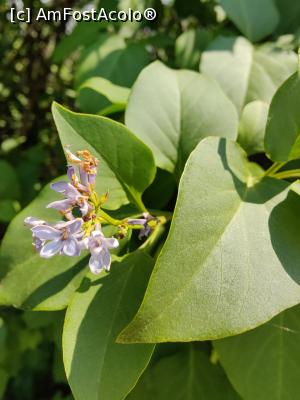 [P55] Dealul cu Lilieci » foto by crismis
 - 
<span class="allrVoted glyphicon glyphicon-heart hidden" id="av1386666"></span>
<a class="m-l-10 hidden" id="sv1386666" onclick="voting_Foto_DelVot(,1386666,5439)" role="button">șterge vot <span class="glyphicon glyphicon-remove"></span></a>
<a id="v91386666" class=" c-red"  onclick="voting_Foto_SetVot(1386666)" role="button"><span class="glyphicon glyphicon-heart-empty"></span> <b>LIKE</b> = Votează poza</a> <img class="hidden"  id="f1386666W9" src="/imagini/loader.gif" border="0" /><span class="AjErrMes hidden" id="e1386666ErM"></span>