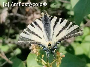 [P57] Dealul cu Lilieci » foto by crismis
 - 
<span class="allrVoted glyphicon glyphicon-heart hidden" id="av1386668"></span>
<a class="m-l-10 hidden" id="sv1386668" onclick="voting_Foto_DelVot(,1386668,5439)" role="button">șterge vot <span class="glyphicon glyphicon-remove"></span></a>
<a id="v91386668" class=" c-red"  onclick="voting_Foto_SetVot(1386668)" role="button"><span class="glyphicon glyphicon-heart-empty"></span> <b>LIKE</b> = Votează poza</a> <img class="hidden"  id="f1386668W9" src="/imagini/loader.gif" border="0" /><span class="AjErrMes hidden" id="e1386668ErM"></span>