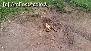 [P16] Focul viu de la Terca » foto by Yersinia Pestis
 - 
<span class="allrVoted glyphicon glyphicon-heart hidden" id="av906576"></span>
<a class="m-l-10 hidden" id="sv906576" onclick="voting_Foto_DelVot(,906576,5439)" role="button">șterge vot <span class="glyphicon glyphicon-remove"></span></a>
<a id="v9906576" class=" c-red"  onclick="voting_Foto_SetVot(906576)" role="button"><span class="glyphicon glyphicon-heart-empty"></span> <b>LIKE</b> = Votează poza</a> <img class="hidden"  id="f906576W9" src="/imagini/loader.gif" border="0" /><span class="AjErrMes hidden" id="e906576ErM"></span>