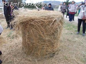 [P15] Herghelia Cislău. Hrana lor gustoasă.  » foto by mihaelavoicu
 - 
<span class="allrVoted glyphicon glyphicon-heart hidden" id="av1145531"></span>
<a class="m-l-10 hidden" id="sv1145531" onclick="voting_Foto_DelVot(,1145531,5439)" role="button">șterge vot <span class="glyphicon glyphicon-remove"></span></a>
<a id="v91145531" class=" c-red"  onclick="voting_Foto_SetVot(1145531)" role="button"><span class="glyphicon glyphicon-heart-empty"></span> <b>LIKE</b> = Votează poza</a> <img class="hidden"  id="f1145531W9" src="/imagini/loader.gif" border="0" /><span class="AjErrMes hidden" id="e1145531ErM"></span>
