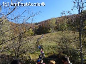 [P06] Grupul a pornit la drum... în zare începe urcușul.  » foto by tata123 🔱
 - 
<span class="allrVoted glyphicon glyphicon-heart hidden" id="av914013"></span>
<a class="m-l-10 hidden" id="sv914013" onclick="voting_Foto_DelVot(,914013,5439)" role="button">șterge vot <span class="glyphicon glyphicon-remove"></span></a>
<a id="v9914013" class=" c-red"  onclick="voting_Foto_SetVot(914013)" role="button"><span class="glyphicon glyphicon-heart-empty"></span> <b>LIKE</b> = Votează poza</a> <img class="hidden"  id="f914013W9" src="/imagini/loader.gif" border="0" /><span class="AjErrMes hidden" id="e914013ErM"></span>