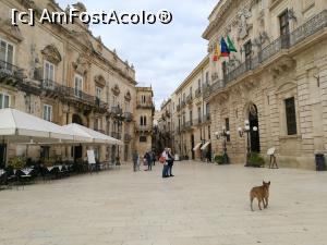 [P29] Piazza del Doumo » foto by crismis
 - 
<span class="allrVoted glyphicon glyphicon-heart hidden" id="av1050883"></span>
<a class="m-l-10 hidden" id="sv1050883" onclick="voting_Foto_DelVot(,1050883,5466)" role="button">șterge vot <span class="glyphicon glyphicon-remove"></span></a>
<a id="v91050883" class=" c-red"  onclick="voting_Foto_SetVot(1050883)" role="button"><span class="glyphicon glyphicon-heart-empty"></span> <b>LIKE</b> = Votează poza</a> <img class="hidden"  id="f1050883W9" src="/imagini/loader.gif" border="0" /><span class="AjErrMes hidden" id="e1050883ErM"></span>