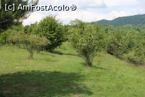 [P69] Mănăstirea Corbii de Piatră, Vedere de pe acoperișul Bisericii, este o poeniță ce duce în altă parte a satului.... și era și o scară ce cobora în traseu, acum închisă » foto by mprofeanu
 - 
<span class="allrVoted glyphicon glyphicon-heart hidden" id="av1166974"></span>
<a class="m-l-10 hidden" id="sv1166974" onclick="voting_Foto_DelVot(,1166974,5499)" role="button">șterge vot <span class="glyphicon glyphicon-remove"></span></a>
<a id="v91166974" class=" c-red"  onclick="voting_Foto_SetVot(1166974)" role="button"><span class="glyphicon glyphicon-heart-empty"></span> <b>LIKE</b> = Votează poza</a> <img class="hidden"  id="f1166974W9" src="/imagini/loader.gif" border="0" /><span class="AjErrMes hidden" id="e1166974ErM"></span>