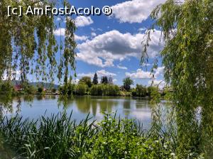 [P02] Lacul Învârtita sau Nucșoara. » foto by maryka
 - 
<span class="allrVoted glyphicon glyphicon-heart hidden" id="av1301063"></span>
<a class="m-l-10 hidden" id="sv1301063" onclick="voting_Foto_DelVot(,1301063,5499)" role="button">șterge vot <span class="glyphicon glyphicon-remove"></span></a>
<a id="v91301063" class=" c-red"  onclick="voting_Foto_SetVot(1301063)" role="button"><span class="glyphicon glyphicon-heart-empty"></span> <b>LIKE</b> = Votează poza</a> <img class="hidden"  id="f1301063W9" src="/imagini/loader.gif" border="0" /><span class="AjErrMes hidden" id="e1301063ErM"></span>