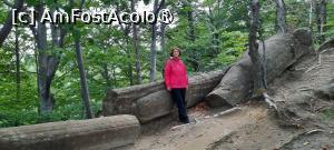 [P51] Trovanții, Babele de la Ulmet » foto by mprofeanu
 - 
<span class="allrVoted glyphicon glyphicon-heart hidden" id="av1391370"></span>
<a class="m-l-10 hidden" id="sv1391370" onclick="voting_Foto_DelVot(,1391370,5504)" role="button">șterge vot <span class="glyphicon glyphicon-remove"></span></a>
<a id="v91391370" class=" c-red"  onclick="voting_Foto_SetVot(1391370)" role="button"><span class="glyphicon glyphicon-heart-empty"></span> <b>LIKE</b> = Votează poza</a> <img class="hidden"  id="f1391370W9" src="/imagini/loader.gif" border="0" /><span class="AjErrMes hidden" id="e1391370ErM"></span>