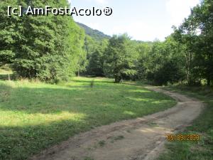 [P03] De urmat poteca ... » foto by puiutea
 - 
<span class="allrVoted glyphicon glyphicon-heart hidden" id="av1388645"></span>
<a class="m-l-10 hidden" id="sv1388645" onclick="voting_Foto_DelVot(,1388645,5504)" role="button">șterge vot <span class="glyphicon glyphicon-remove"></span></a>
<a id="v91388645" class=" c-red"  onclick="voting_Foto_SetVot(1388645)" role="button"><span class="glyphicon glyphicon-heart-empty"></span> <b>LIKE</b> = Votează poza</a> <img class="hidden"  id="f1388645W9" src="/imagini/loader.gif" border="0" /><span class="AjErrMes hidden" id="e1388645ErM"></span>