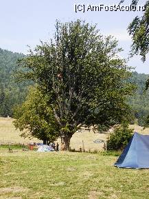 [P05] Un crâmpei din parcarea şi campingul de la lacul Sf.Ana » foto by mariana.olaru
 - 
<span class="allrVoted glyphicon glyphicon-heart hidden" id="av81803"></span>
<a class="m-l-10 hidden" id="sv81803" onclick="voting_Foto_DelVot(,81803,5504)" role="button">șterge vot <span class="glyphicon glyphicon-remove"></span></a>
<a id="v981803" class=" c-red"  onclick="voting_Foto_SetVot(81803)" role="button"><span class="glyphicon glyphicon-heart-empty"></span> <b>LIKE</b> = Votează poza</a> <img class="hidden"  id="f81803W9" src="/imagini/loader.gif" border="0" /><span class="AjErrMes hidden" id="e81803ErM"></span>