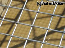 [P15] Nu era asa agitata balta :)  » foto by bogdanfifa
 - 
<span class="allrVoted glyphicon glyphicon-heart hidden" id="av335107"></span>
<a class="m-l-10 hidden" id="sv335107" onclick="voting_Foto_DelVot(,335107,5515)" role="button">șterge vot <span class="glyphicon glyphicon-remove"></span></a>
<a id="v9335107" class=" c-red"  onclick="voting_Foto_SetVot(335107)" role="button"><span class="glyphicon glyphicon-heart-empty"></span> <b>LIKE</b> = Votează poza</a> <img class="hidden"  id="f335107W9" src="/imagini/loader.gif" border="0" /><span class="AjErrMes hidden" id="e335107ErM"></span>