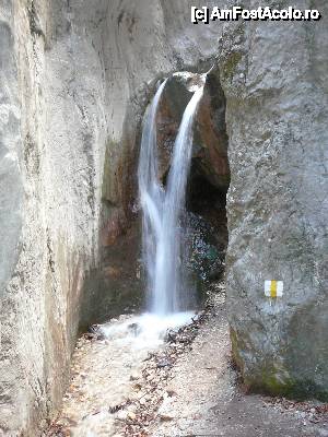 [P34] Ne îndreptăm către scara a şaptea – cărarea şi cascada de lângă scară » foto by Claudiu U.
 - 
<span class="allrVoted glyphicon glyphicon-heart hidden" id="av482142"></span>
<a class="m-l-10 hidden" id="sv482142" onclick="voting_Foto_DelVot(,482142,5531)" role="button">șterge vot <span class="glyphicon glyphicon-remove"></span></a>
<a id="v9482142" class=" c-red"  onclick="voting_Foto_SetVot(482142)" role="button"><span class="glyphicon glyphicon-heart-empty"></span> <b>LIKE</b> = Votează poza</a> <img class="hidden"  id="f482142W9" src="/imagini/loader.gif" border="0" /><span class="AjErrMes hidden" id="e482142ErM"></span>