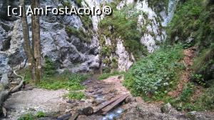 [P19] La ieșirea din canion, începe pădurea, traseul de ocolire.  » foto by maryka
 - 
<span class="allrVoted glyphicon glyphicon-heart hidden" id="av777808"></span>
<a class="m-l-10 hidden" id="sv777808" onclick="voting_Foto_DelVot(,777808,5531)" role="button">șterge vot <span class="glyphicon glyphicon-remove"></span></a>
<a id="v9777808" class=" c-red"  onclick="voting_Foto_SetVot(777808)" role="button"><span class="glyphicon glyphicon-heart-empty"></span> <b>LIKE</b> = Votează poza</a> <img class="hidden"  id="f777808W9" src="/imagini/loader.gif" border="0" /><span class="AjErrMes hidden" id="e777808ErM"></span>