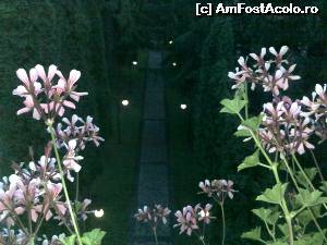 [P06] seara cu aleea luminata vazuta oare de unde? din balcon » foto by vega06
 - 
<span class="allrVoted glyphicon glyphicon-heart hidden" id="av565033"></span>
<a class="m-l-10 hidden" id="sv565033" onclick="voting_Foto_DelVot(,565033,5537)" role="button">șterge vot <span class="glyphicon glyphicon-remove"></span></a>
<a id="v9565033" class=" c-red"  onclick="voting_Foto_SetVot(565033)" role="button"><span class="glyphicon glyphicon-heart-empty"></span> <b>LIKE</b> = Votează poza</a> <img class="hidden"  id="f565033W9" src="/imagini/loader.gif" border="0" /><span class="AjErrMes hidden" id="e565033ErM"></span>