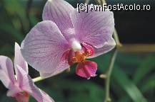 [P29]  -- <small>// FĂRĂ DESCRIERE</small> » foto by deliutza27
 - 
<span class="allrVoted glyphicon glyphicon-heart hidden" id="av68213"></span>
<a class="m-l-10 hidden" id="sv68213" onclick="voting_Foto_DelVot(,68213,5575)" role="button">șterge vot <span class="glyphicon glyphicon-remove"></span></a>
<a id="v968213" class=" c-red"  onclick="voting_Foto_SetVot(68213)" role="button"><span class="glyphicon glyphicon-heart-empty"></span> <b>LIKE</b> = Votează poza</a> <img class="hidden"  id="f68213W9" src="/imagini/loader.gif" border="0" /><span class="AjErrMes hidden" id="e68213ErM"></span>