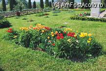 [P04]  -- <small>// FĂRĂ DESCRIERE</small> » foto by deliutza27
 - 
<span class="allrVoted glyphicon glyphicon-heart hidden" id="av68116"></span>
<a class="m-l-10 hidden" id="sv68116" onclick="voting_Foto_DelVot(,68116,5575)" role="button">șterge vot <span class="glyphicon glyphicon-remove"></span></a>
<a id="v968116" class=" c-red"  onclick="voting_Foto_SetVot(68116)" role="button"><span class="glyphicon glyphicon-heart-empty"></span> <b>LIKE</b> = Votează poza</a> <img class="hidden"  id="f68116W9" src="/imagini/loader.gif" border="0" /><span class="AjErrMes hidden" id="e68116ErM"></span>