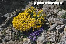[P44]  -- <small>// FĂRĂ DESCRIERE</small> » foto by deliutza27
 - 
<span class="allrVoted glyphicon glyphicon-heart hidden" id="av68254"></span>
<a class="m-l-10 hidden" id="sv68254" onclick="voting_Foto_DelVot(,68254,5575)" role="button">șterge vot <span class="glyphicon glyphicon-remove"></span></a>
<a id="v968254" class=" c-red"  onclick="voting_Foto_SetVot(68254)" role="button"><span class="glyphicon glyphicon-heart-empty"></span> <b>LIKE</b> = Votează poza</a> <img class="hidden"  id="f68254W9" src="/imagini/loader.gif" border="0" /><span class="AjErrMes hidden" id="e68254ErM"></span>
