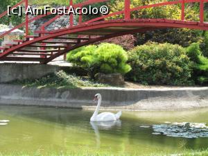 [P11] Lebada prietenoasa, poate prea tare...  » foto by simplegirl
 - 
<span class="allrVoted glyphicon glyphicon-heart hidden" id="av893953"></span>
<a class="m-l-10 hidden" id="sv893953" onclick="voting_Foto_DelVot(,893953,5575)" role="button">șterge vot <span class="glyphicon glyphicon-remove"></span></a>
<a id="v9893953" class=" c-red"  onclick="voting_Foto_SetVot(893953)" role="button"><span class="glyphicon glyphicon-heart-empty"></span> <b>LIKE</b> = Votează poza</a> <img class="hidden"  id="f893953W9" src="/imagini/loader.gif" border="0" /><span class="AjErrMes hidden" id="e893953ErM"></span>