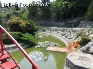 [P15] Lacul din gradina japoneza mare » foto by simplegirl
 - 
<span class="allrVoted glyphicon glyphicon-heart hidden" id="av893962"></span>
<a class="m-l-10 hidden" id="sv893962" onclick="voting_Foto_DelVot(,893962,5575)" role="button">șterge vot <span class="glyphicon glyphicon-remove"></span></a>
<a id="v9893962" class=" c-red"  onclick="voting_Foto_SetVot(893962)" role="button"><span class="glyphicon glyphicon-heart-empty"></span> <b>LIKE</b> = Votează poza</a> <img class="hidden"  id="f893962W9" src="/imagini/loader.gif" border="0" /><span class="AjErrMes hidden" id="e893962ErM"></span>