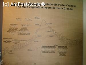 [P25] Informaţii despre etajele de vegetaţie din Piatra Craiului.  » foto by Floryn81
 - 
<span class="allrVoted glyphicon glyphicon-heart hidden" id="av878251"></span>
<a class="m-l-10 hidden" id="sv878251" onclick="voting_Foto_DelVot(,878251,5641)" role="button">șterge vot <span class="glyphicon glyphicon-remove"></span></a>
<a id="v9878251" class=" c-red"  onclick="voting_Foto_SetVot(878251)" role="button"><span class="glyphicon glyphicon-heart-empty"></span> <b>LIKE</b> = Votează poza</a> <img class="hidden"  id="f878251W9" src="/imagini/loader.gif" border="0" /><span class="AjErrMes hidden" id="e878251ErM"></span>