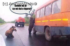 [P23] La cerșit » foto by AZE <span class="label label-default labelC_thin small">NEVOTABILĂ</span>
