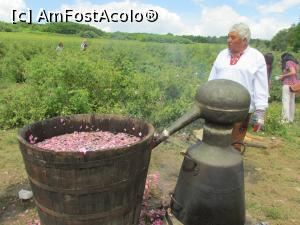 [P37] Festivalul Trandafirilor Kazanlak » foto by Testosu'
 - 
<span class="allrVoted glyphicon glyphicon-heart hidden" id="av748041"></span>
<a class="m-l-10 hidden" id="sv748041" onclick="voting_Foto_DelVot(,748041,5666)" role="button">șterge vot <span class="glyphicon glyphicon-remove"></span></a>
<a id="v9748041" class=" c-red"  onclick="voting_Foto_SetVot(748041)" role="button"><span class="glyphicon glyphicon-heart-empty"></span> <b>LIKE</b> = Votează poza</a> <img class="hidden"  id="f748041W9" src="/imagini/loader.gif" border="0" /><span class="AjErrMes hidden" id="e748041ErM"></span>