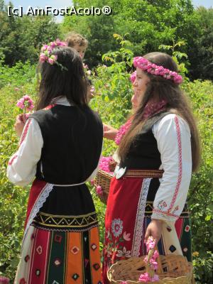 [P39] Festivalul Trandafirilor Kazanlak » foto by Testosu'
 - 
<span class="allrVoted glyphicon glyphicon-heart hidden" id="av748043"></span>
<a class="m-l-10 hidden" id="sv748043" onclick="voting_Foto_DelVot(,748043,5666)" role="button">șterge vot <span class="glyphicon glyphicon-remove"></span></a>
<a id="v9748043" class=" c-red"  onclick="voting_Foto_SetVot(748043)" role="button"><span class="glyphicon glyphicon-heart-empty"></span> <b>LIKE</b> = Votează poza</a> <img class="hidden"  id="f748043W9" src="/imagini/loader.gif" border="0" /><span class="AjErrMes hidden" id="e748043ErM"></span>