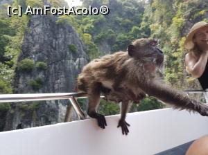 [P18]  -- <small>// FĂRĂ DESCRIERE</small> » foto by Roxie
 - 
<span class="allrVoted glyphicon glyphicon-heart hidden" id="av938804"></span>
<a class="m-l-10 hidden" id="sv938804" onclick="voting_Foto_DelVot(,938804,5678)" role="button">șterge vot <span class="glyphicon glyphicon-remove"></span></a>
<a id="v9938804" class=" c-red"  onclick="voting_Foto_SetVot(938804)" role="button"><span class="glyphicon glyphicon-heart-empty"></span> <b>LIKE</b> = Votează poza</a> <img class="hidden"  id="f938804W9" src="/imagini/loader.gif" border="0" /><span class="AjErrMes hidden" id="e938804ErM"></span>