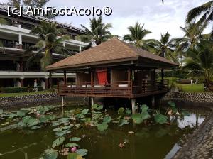 [P19] Masaj in hotel » foto by Roxie
 - 
<span class="allrVoted glyphicon glyphicon-heart hidden" id="av938805"></span>
<a class="m-l-10 hidden" id="sv938805" onclick="voting_Foto_DelVot(,938805,5678)" role="button">șterge vot <span class="glyphicon glyphicon-remove"></span></a>
<a id="v9938805" class=" c-red"  onclick="voting_Foto_SetVot(938805)" role="button"><span class="glyphicon glyphicon-heart-empty"></span> <b>LIKE</b> = Votează poza</a> <img class="hidden"  id="f938805W9" src="/imagini/loader.gif" border="0" /><span class="AjErrMes hidden" id="e938805ErM"></span>