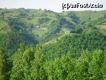 [P03] magnific » foto by fluturas15
 - 
<span class="allrVoted glyphicon glyphicon-heart hidden" id="av204001"></span>
<a class="m-l-10 hidden" id="sv204001" onclick="voting_Foto_DelVot(,204001,5701)" role="button">șterge vot <span class="glyphicon glyphicon-remove"></span></a>
<a id="v9204001" class=" c-red"  onclick="voting_Foto_SetVot(204001)" role="button"><span class="glyphicon glyphicon-heart-empty"></span> <b>LIKE</b> = Votează poza</a> <img class="hidden"  id="f204001W9" src="/imagini/loader.gif" border="0" /><span class="AjErrMes hidden" id="e204001ErM"></span>