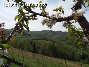 [P25] Vedere spre muntii Bucegi.  » foto by vulpe mihaela
 - 
<span class="allrVoted glyphicon glyphicon-heart hidden" id="av850982"></span>
<a class="m-l-10 hidden" id="sv850982" onclick="voting_Foto_DelVot(,850982,5701)" role="button">șterge vot <span class="glyphicon glyphicon-remove"></span></a>
<a id="v9850982" class=" c-red"  onclick="voting_Foto_SetVot(850982)" role="button"><span class="glyphicon glyphicon-heart-empty"></span> <b>LIKE</b> = Votează poza</a> <img class="hidden"  id="f850982W9" src="/imagini/loader.gif" border="0" /><span class="AjErrMes hidden" id="e850982ErM"></span>