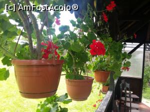 [P28] La foisor » foto by mugur007
 - 
<span class="allrVoted glyphicon glyphicon-heart hidden" id="av751455"></span>
<a class="m-l-10 hidden" id="sv751455" onclick="voting_Foto_DelVot(,751455,5701)" role="button">șterge vot <span class="glyphicon glyphicon-remove"></span></a>
<a id="v9751455" class=" c-red"  onclick="voting_Foto_SetVot(751455)" role="button"><span class="glyphicon glyphicon-heart-empty"></span> <b>LIKE</b> = Votează poza</a> <img class="hidden"  id="f751455W9" src="/imagini/loader.gif" border="0" /><span class="AjErrMes hidden" id="e751455ErM"></span>