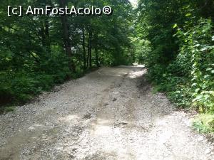 [P36] Drumul prin padure » foto by mugur007
 - 
<span class="allrVoted glyphicon glyphicon-heart hidden" id="av751465"></span>
<a class="m-l-10 hidden" id="sv751465" onclick="voting_Foto_DelVot(,751465,5701)" role="button">șterge vot <span class="glyphicon glyphicon-remove"></span></a>
<a id="v9751465" class=" c-red"  onclick="voting_Foto_SetVot(751465)" role="button"><span class="glyphicon glyphicon-heart-empty"></span> <b>LIKE</b> = Votează poza</a> <img class="hidden"  id="f751465W9" src="/imagini/loader.gif" border="0" /><span class="AjErrMes hidden" id="e751465ErM"></span>