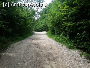 [P37] Drumul prin padure » foto by mugur007
 - 
<span class="allrVoted glyphicon glyphicon-heart hidden" id="av751467"></span>
<a class="m-l-10 hidden" id="sv751467" onclick="voting_Foto_DelVot(,751467,5701)" role="button">șterge vot <span class="glyphicon glyphicon-remove"></span></a>
<a id="v9751467" class=" c-red"  onclick="voting_Foto_SetVot(751467)" role="button"><span class="glyphicon glyphicon-heart-empty"></span> <b>LIKE</b> = Votează poza</a> <img class="hidden"  id="f751467W9" src="/imagini/loader.gif" border="0" /><span class="AjErrMes hidden" id="e751467ErM"></span>