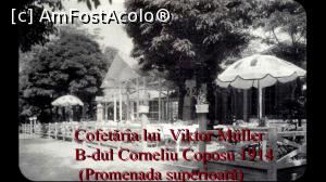 [P17] Cofetăria Victor Muller » foto by AZE <span class="label label-default labelC_thin small">NEVOTABILĂ</span>