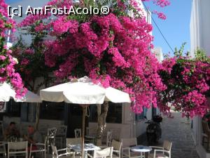 [P06] O taverna ce nu mai are nevoie de umbrele » foto by dorgo
 - 
<span class="allrVoted glyphicon glyphicon-heart hidden" id="av1256196"></span>
<a class="m-l-10 hidden" id="sv1256196" onclick="voting_Foto_DelVot(,1256196,5760)" role="button">șterge vot <span class="glyphicon glyphicon-remove"></span></a>
<a id="v91256196" class=" c-red"  onclick="voting_Foto_SetVot(1256196)" role="button"><span class="glyphicon glyphicon-heart-empty"></span> <b>LIKE</b> = Votează poza</a> <img class="hidden"  id="f1256196W9" src="/imagini/loader.gif" border="0" /><span class="AjErrMes hidden" id="e1256196ErM"></span>