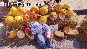 [P03] Festivalul dovleacului de la Sovata » foto by dorgo
 - 
<span class="allrVoted glyphicon glyphicon-heart hidden" id="av1399171"></span>
<a class="m-l-10 hidden" id="sv1399171" onclick="voting_Foto_DelVot(,1399171,5760)" role="button">șterge vot <span class="glyphicon glyphicon-remove"></span></a>
<a id="v91399171" class=" c-red"  onclick="voting_Foto_SetVot(1399171)" role="button"><span class="glyphicon glyphicon-heart-empty"></span> <b>LIKE</b> = Votează poza</a> <img class="hidden"  id="f1399171W9" src="/imagini/loader.gif" border="0" /><span class="AjErrMes hidden" id="e1399171ErM"></span>