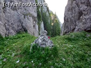 [P02] O momaie în Poartă Mare » foto by Mika
 - 
<span class="allrVoted glyphicon glyphicon-heart hidden" id="av1480708"></span>
<a class="m-l-10 hidden" id="sv1480708" onclick="voting_Foto_DelVot(,1480708,5764)" role="button">șterge vot <span class="glyphicon glyphicon-remove"></span></a>
<a id="v91480708" class=" c-red"  onclick="voting_Foto_SetVot(1480708)" role="button"><span class="glyphicon glyphicon-heart-empty"></span> <b>LIKE</b> = Votează poza</a> <img class="hidden"  id="f1480708W9" src="/imagini/loader.gif" border="0" /><span class="AjErrMes hidden" id="e1480708ErM"></span>