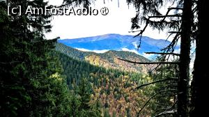 [P26] Urcare spre Castelul Crăiței » foto by Mika
 - 
<span class="allrVoted glyphicon glyphicon-heart hidden" id="av1480732"></span>
<a class="m-l-10 hidden" id="sv1480732" onclick="voting_Foto_DelVot(,1480732,5764)" role="button">șterge vot <span class="glyphicon glyphicon-remove"></span></a>
<a id="v91480732" class=" c-red"  onclick="voting_Foto_SetVot(1480732)" role="button"><span class="glyphicon glyphicon-heart-empty"></span> <b>LIKE</b> = Votează poza</a> <img class="hidden"  id="f1480732W9" src="/imagini/loader.gif" border="0" /><span class="AjErrMes hidden" id="e1480732ErM"></span>