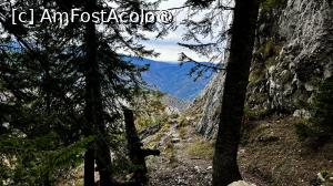 [P34] Spre Canionul Anghelide » foto by Mika
 - 
<span class="allrVoted glyphicon glyphicon-heart hidden" id="av1480740"></span>
<a class="m-l-10 hidden" id="sv1480740" onclick="voting_Foto_DelVot(,1480740,5764)" role="button">șterge vot <span class="glyphicon glyphicon-remove"></span></a>
<a id="v91480740" class=" c-red"  onclick="voting_Foto_SetVot(1480740)" role="button"><span class="glyphicon glyphicon-heart-empty"></span> <b>LIKE</b> = Votează poza</a> <img class="hidden"  id="f1480740W9" src="/imagini/loader.gif" border="0" /><span class="AjErrMes hidden" id="e1480740ErM"></span>