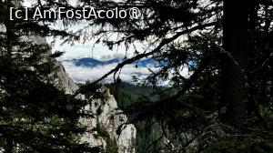 [P35] Spre Canionul Anghelide » foto by Mika
 - 
<span class="allrVoted glyphicon glyphicon-heart hidden" id="av1480741"></span>
<a class="m-l-10 hidden" id="sv1480741" onclick="voting_Foto_DelVot(,1480741,5764)" role="button">șterge vot <span class="glyphicon glyphicon-remove"></span></a>
<a id="v91480741" class=" c-red"  onclick="voting_Foto_SetVot(1480741)" role="button"><span class="glyphicon glyphicon-heart-empty"></span> <b>LIKE</b> = Votează poza</a> <img class="hidden"  id="f1480741W9" src="/imagini/loader.gif" border="0" /><span class="AjErrMes hidden" id="e1480741ErM"></span>