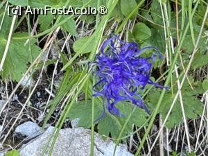 [P11] Spinuta sau Banica » foto by Mika
 - 
<span class="allrVoted glyphicon glyphicon-heart hidden" id="av1491767"></span>
<a class="m-l-10 hidden" id="sv1491767" onclick="voting_Foto_DelVot(,1491767,5764)" role="button">șterge vot <span class="glyphicon glyphicon-remove"></span></a>
<a id="v91491767" class=" c-red"  onclick="voting_Foto_SetVot(1491767)" role="button"><span class="glyphicon glyphicon-heart-empty"></span> <b>LIKE</b> = Votează poza</a> <img class="hidden"  id="f1491767W9" src="/imagini/loader.gif" border="0" /><span class="AjErrMes hidden" id="e1491767ErM"></span>